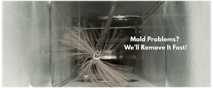 Air Duct Mold Removal in Sun Lakes AZ