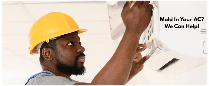 HVAC Mold Removal Sun Lakes AZ
